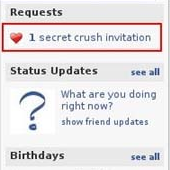 Facebook_Secret Crush