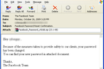Facebook-Spam-Websense