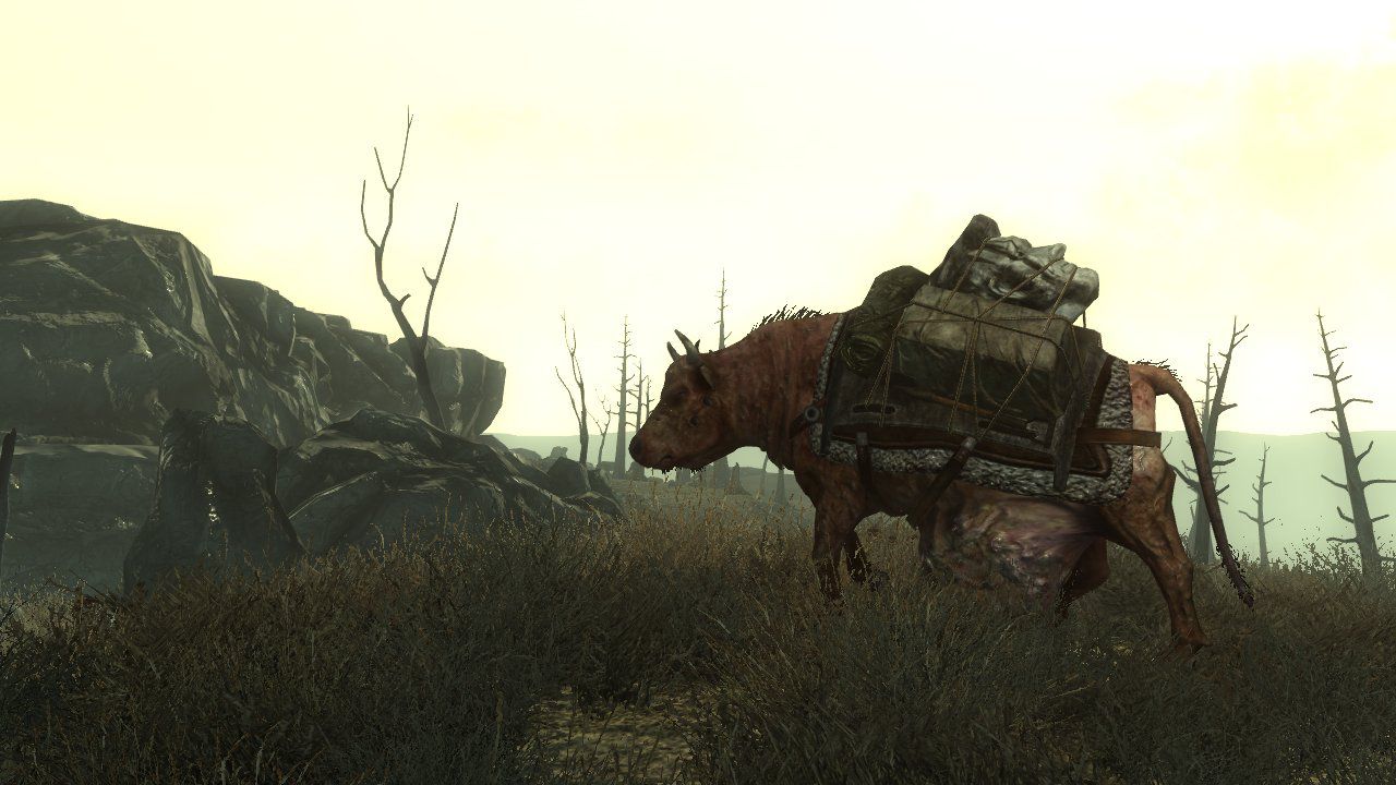 Fallout 3   Image 39