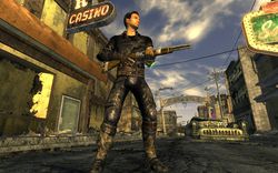 Fallout New Vegas - Image 17