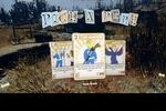 Fallout76 progression