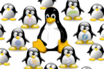 Famille Linux
