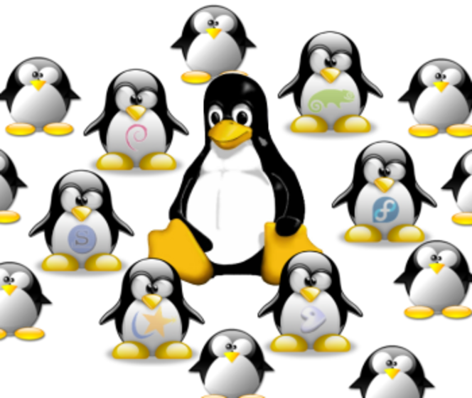 Famille Linux