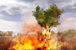 Far Cry 2 - 3