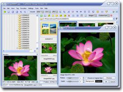 FastStone Image Viewer 2.8 (465x347)