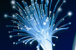 fibre-optique