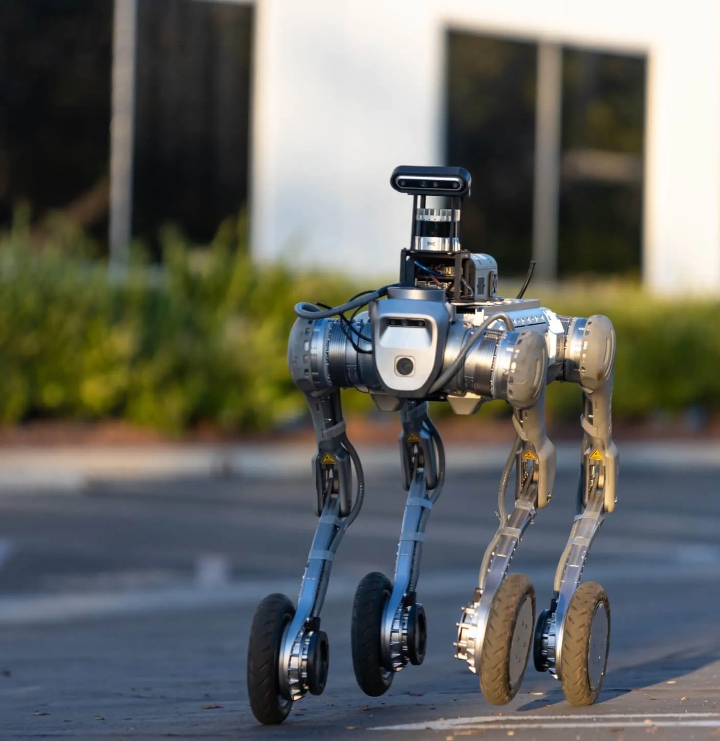 FieldAI cerveau robotique