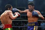 Fight Night Round 4 - Image 9