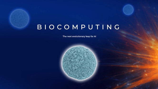FinalSpark Biocomputing