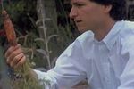 fini_les_pommes_vive_les carottes_Steve_Jobs_NeXT_1985-GNT
