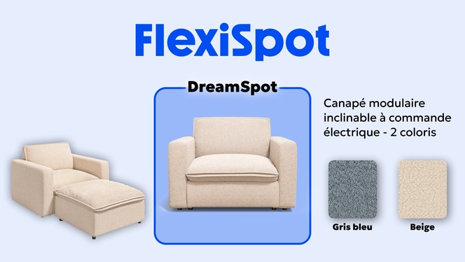 FlexiSpot DreamSpot canape? modulaire