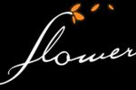 flower-psn (3)