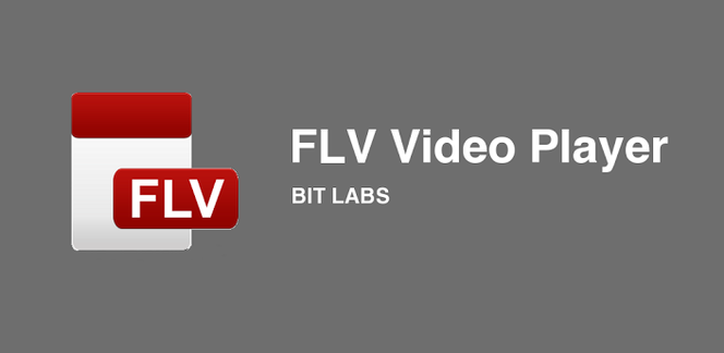 FLV Video player
