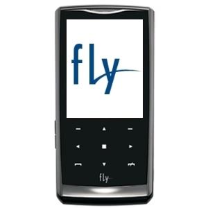 Fly Mobile E310