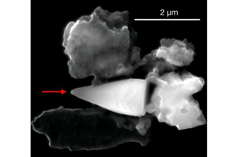fossile geomagnetique boussole