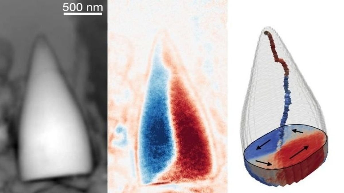 fossile GPS interne boussole
