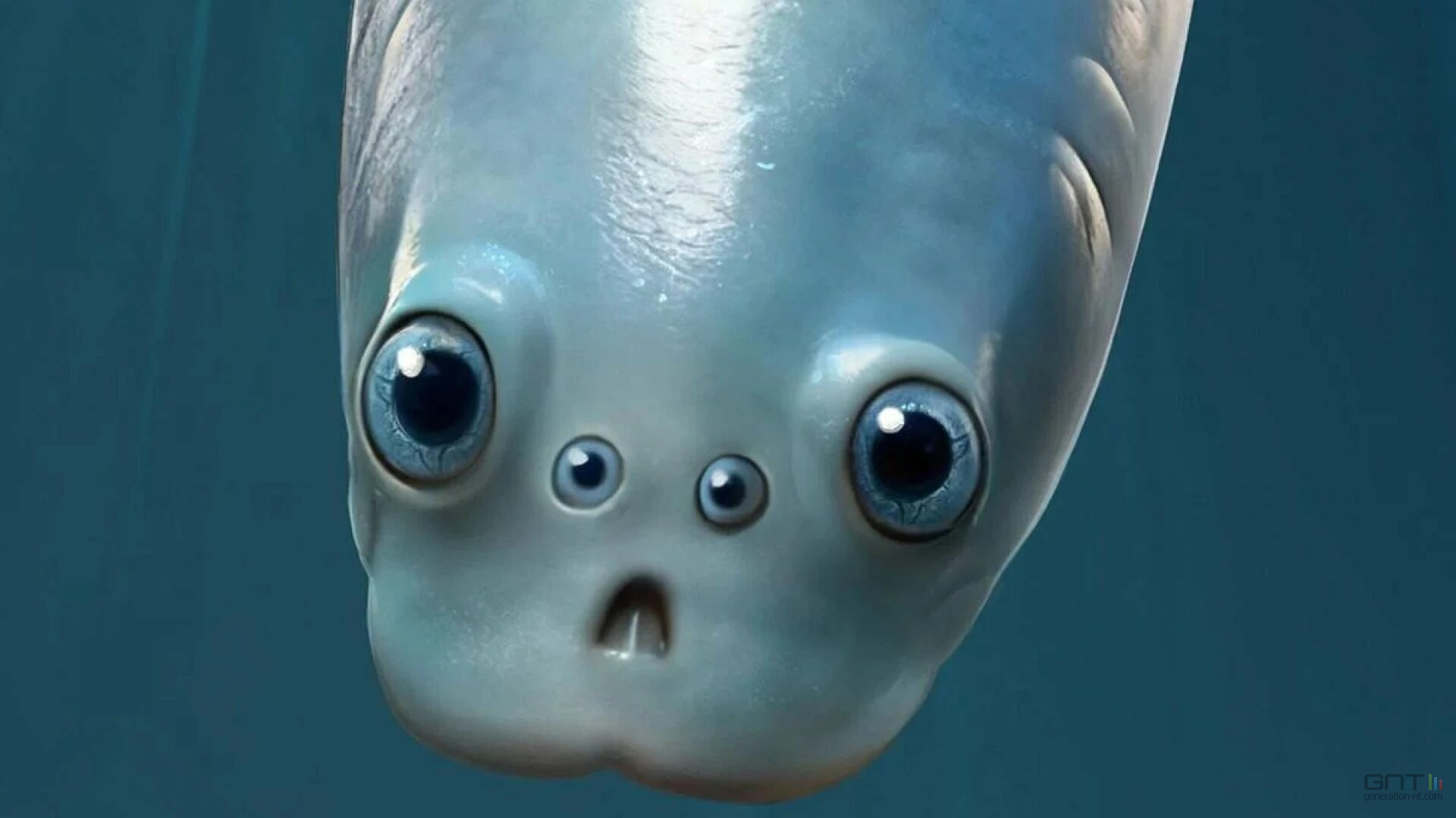 fossile vertebre deux paires yeux_02