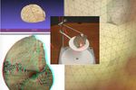 fossiles 3D