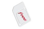 Free-SIM
