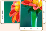 Freedom 251 (logo)