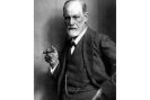 Freud (Small)