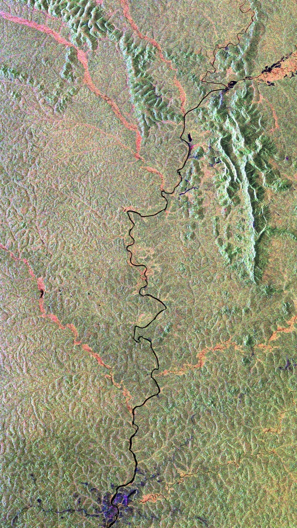 Gabon-biomass
