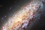 Galaxie NGC 6503