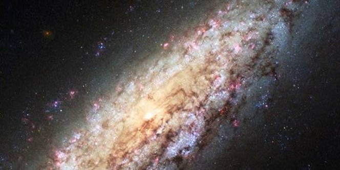 Galaxie NGC 6503