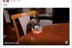 GIF Facebook