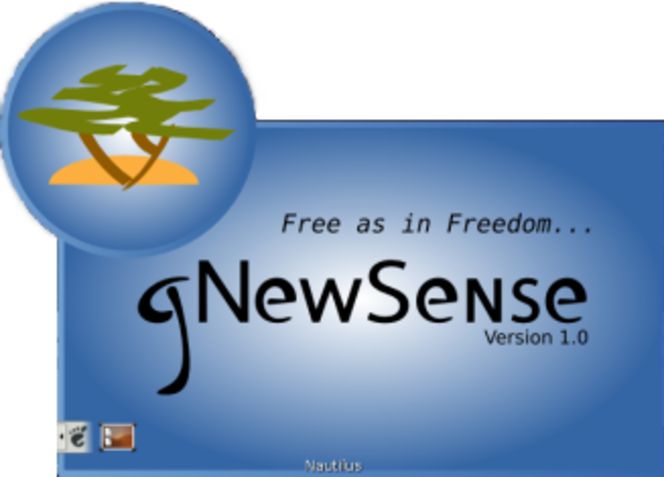 gNewSense 1.0 (327x235)
