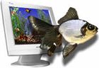 Goldfish Aquarium : un écran de veille plutôt aquatique !