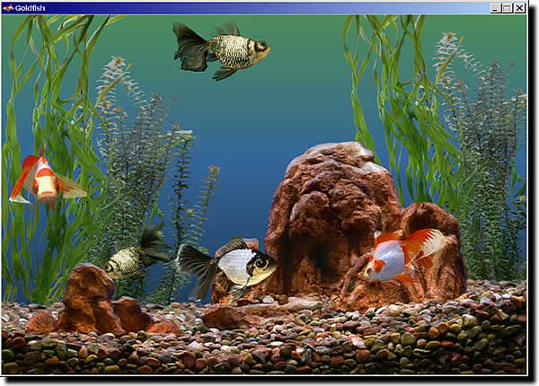 Goldfish Aquarium screen 1