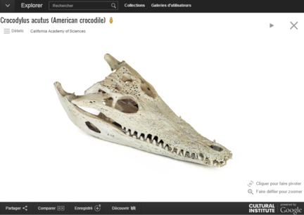 Google-Art-Project-crane-crocodile-3D