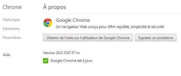 Google-Chrome-29