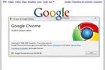 Google-Chrome-4.0