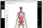 Google-Chrome-9-beta