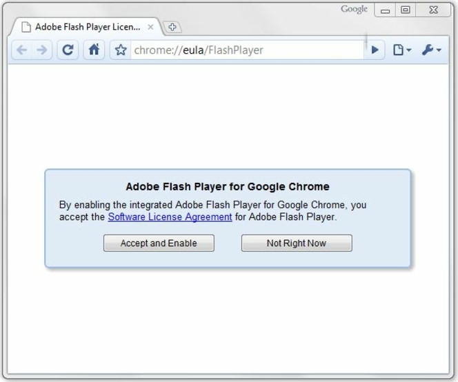 Google-Chrome-Flash