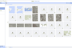 Google-Earth-Builder