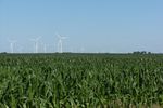 Google-energie-eolien
