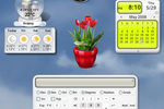 Google_Gadgets_Linux
