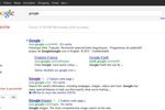 Google-Interface