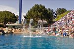 Google-maps-seaworld