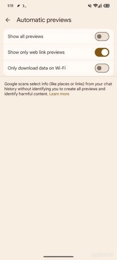 Google Messages Insight 02