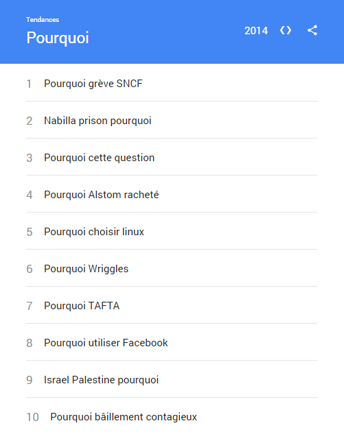 Google-Recherches-2014-pourquoi-France