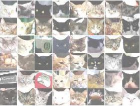 Google-reseau-neurones-chats