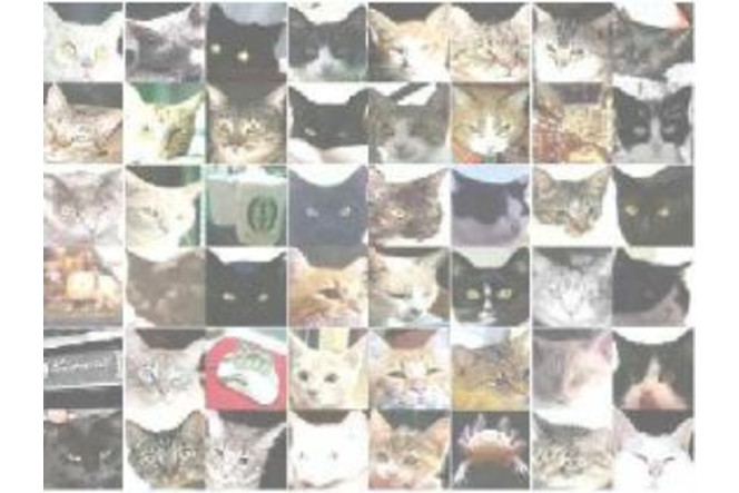 Google-reseau-neurones-chats