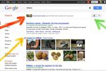 Google-resultats-personnalises