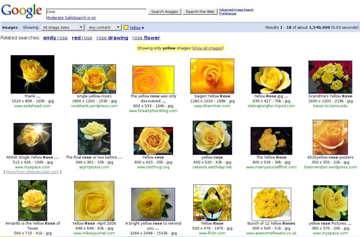 Google_Rose_jaune