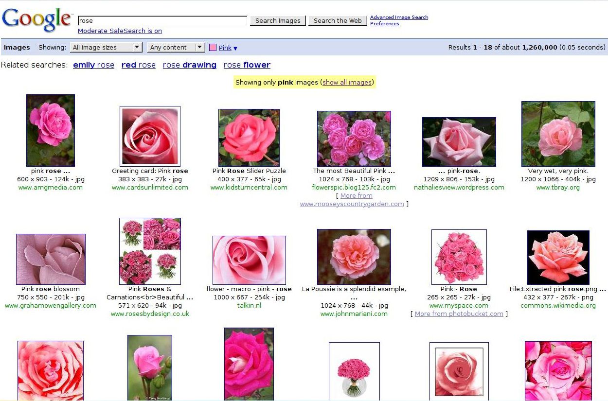 Google_Rose_rose