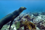 Google-Street-View-ocean